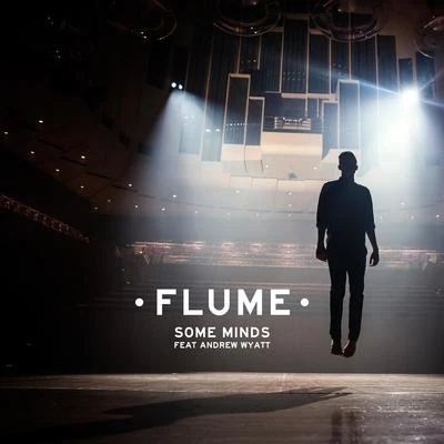 Some Minds (feat. Andrew Wyatt) 專輯 Flume