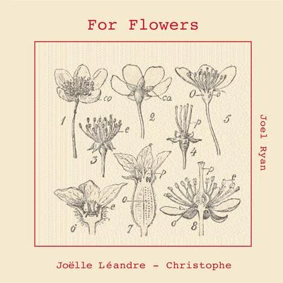 For Flowers 专辑 Renato Geremia/Mario Schiano/Joëlle Léandre