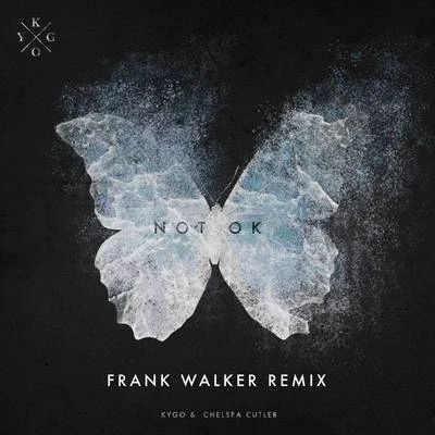 Not Ok (Frank Walker Remix) 專輯 Frank Walker