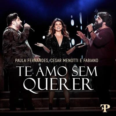 Te Amo Sem Querer (Ao Vivo Em Sete Lagoas, Brazil2019) 專輯 Paula Fernandes