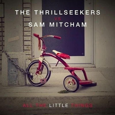 All The Little Things 專輯 The Thrillseekers