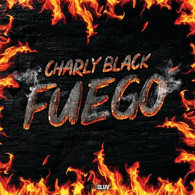 Fuego 专辑 Charly Black/808 Delavega