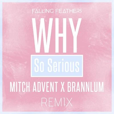 Why So Serious (Mitch Advent & Brannlum Remix) 專輯 Falling Feathers