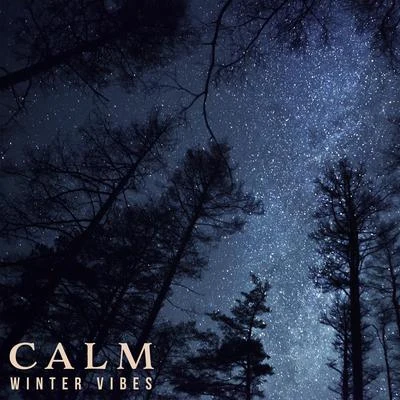 Calm Winter Vibes - Calm Ambient Music, Total Chill, Relaxation for the Long Winter Evenings 專輯 Chillout Experience Music Academy/Chilled Ibiza/Positive & Happy Music Zone