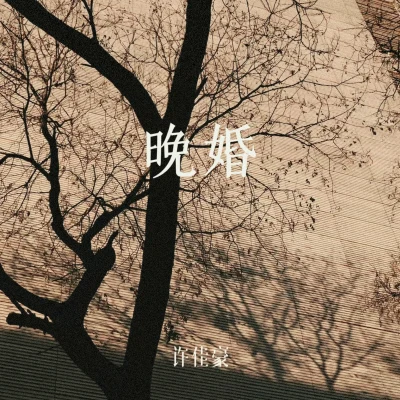 晚婚 专辑 徐西/烟(许佳豪)