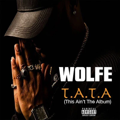 T.a.T.a. (This Ain&#x27;t the Album) 专辑 Wolfe