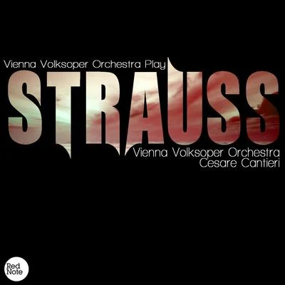 Strauss: Vienna Volksoper Orchestra Play 專輯 Fritz Muliar/Vienna Volksoper Orchestra/Eberhard Wächter/Albert Lortzing/Waldemar Kmentt