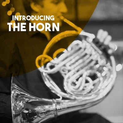 Introducing: The Horn 專輯 Vienna Philharmusica Symphony Orchestra/Hans Swarowsky