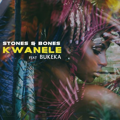 Kwanele 專輯 Stones & Bones