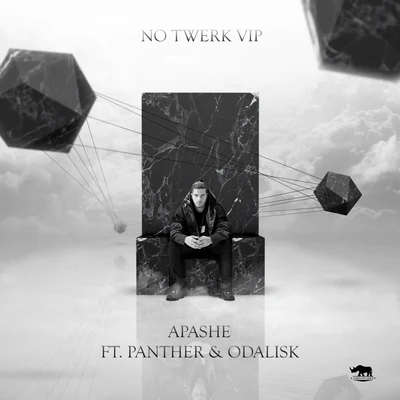 No Twerk VIP 專輯 Apashe