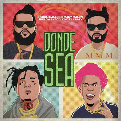 Donde Sea 专辑 Vjlandia/Kiko el Crazy