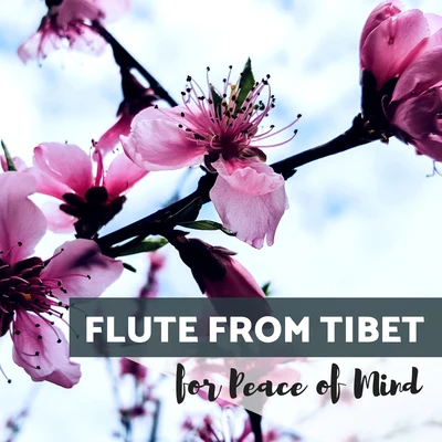 Flute from Tibet for Peace of Mind 专辑 Project 91/Enyo