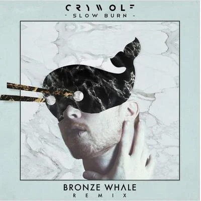 Slow Burn (Bronze Whale Remix) 专辑 Popeska/Proppa/Bronze Whale