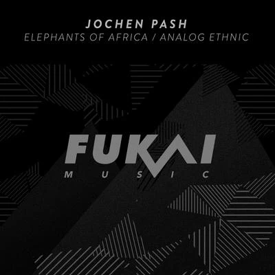 Jochen PashSebastian Krieg Elephants of AfricaAnalog Ethnic