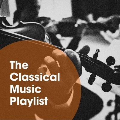 The Classical Music Playlist 专辑 Villa Musica Ensemble/Classical Music Songs/Leonard Hokanson