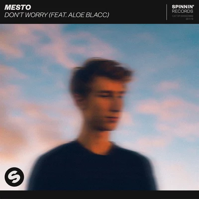 Don&#x27;t Worry (feat. Aloe Blacc) 专辑 Mesto