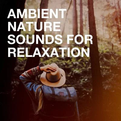 Ambient Nature Sounds for Relaxation 专辑 Sleep Sounds of Nature/Namaste Yoga/Sons da natureza HD