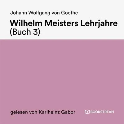 Johann Wolfgang von Goethe Wilhelm Meisters Lehrjahre (Buch 3)