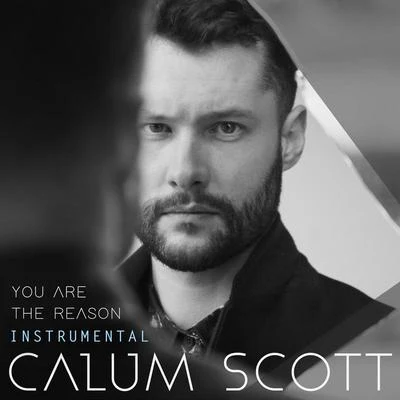 Calum ScottLeona Lewis You Are The Reason (Instrumental)