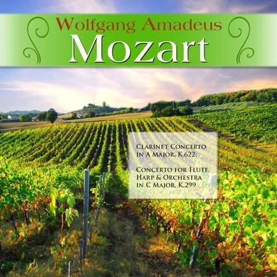 Wolfgang Amadeus Mozart: Clarinet Concerto in A Major, K.622; Concerto for Flute, Harp & Orchestra in C Major, K.299 專輯 Gunter Kehr/Württemberg Chamber Orchestra Heilbronn