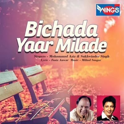 Bichada Yaar Milade 專輯 Mohammed Aziz/Anuradha Paudwal/Amit Kumar