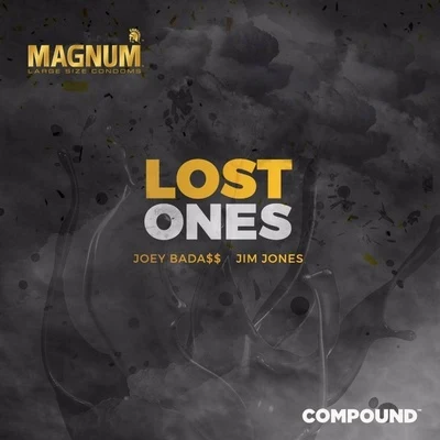 Lost Ones 專輯 Joey Bada$$