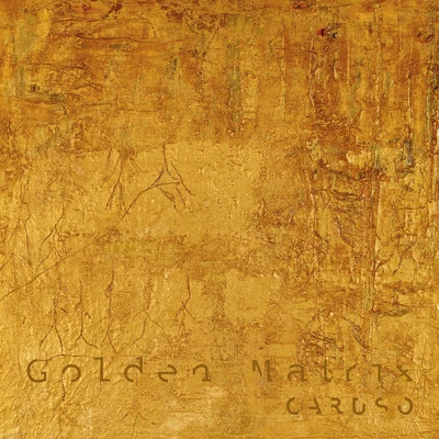 Golden Matrix 專輯 Caruso/Solan/Stefano Noferini/Zoo Brazil/Fernando Guzman