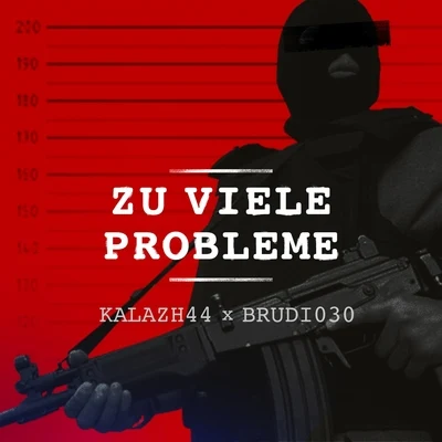 Zu viele Probleme 專輯 NGEE/Kalazh44