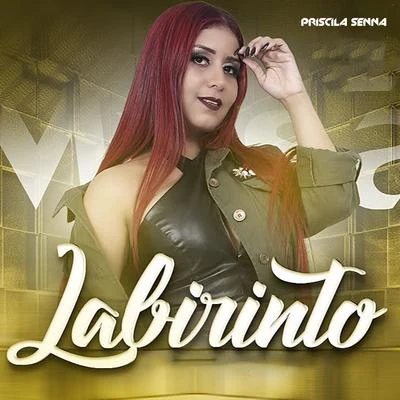 Labirinto 專輯 Priscila Senna/Banda a Favorita/Banda Musa