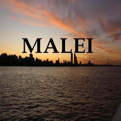 Malei (feat. RapRome) 專輯 Dryan