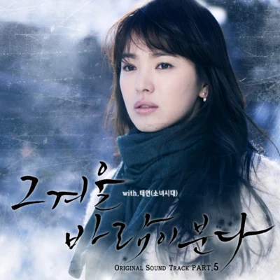 太妍 그 겨울, 바람이 분다 (SBS 수목드라마) OST – Part.5