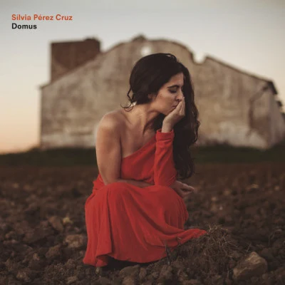 Domus 专辑 The Pinker Tones/Sílvia Pérez Cruz