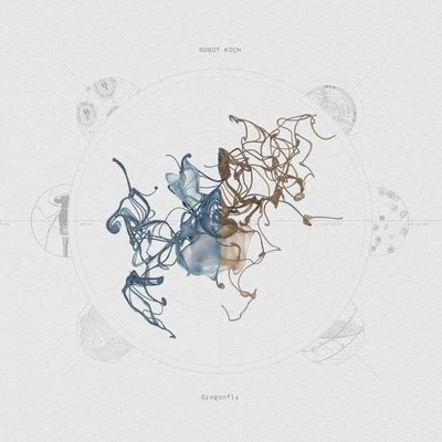 Dragonfly 專輯 Union Analogtronics/Vindahl/Wallis Bird/Robot Koch/Swede