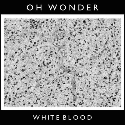 Oh Wonder White Blood