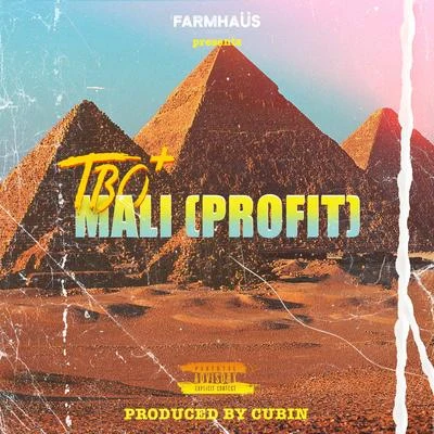 Mali (Profit) 專輯 TBO/D-$$/J.R.D./Famous Nigerian