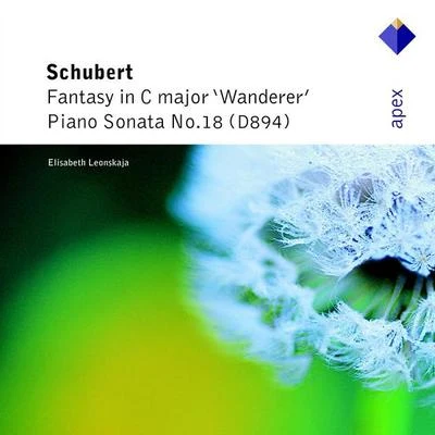 Schubert : wander而fantasy piano sonata no.18 - apex 專輯 Elisabeth Leonskaja