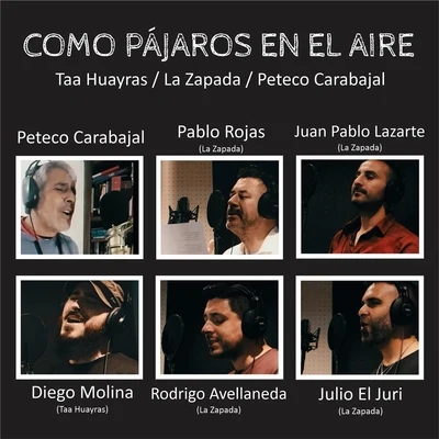 Como Pájaros en el Aire 专辑 Lalo Homer/Lucho González/Mercedes Sosa/Peteco Carabajal/Obi Homer