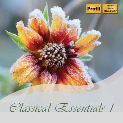 Classical Essentials, Vol. 1 專輯 National Philharmonic Orchestra