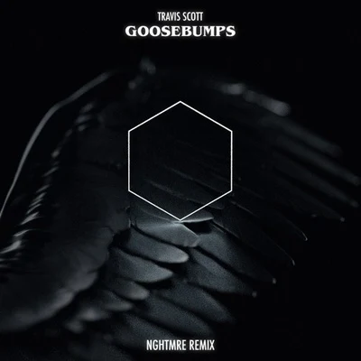 NGHTMRE Goosebumps (NGHTMRE Remix)