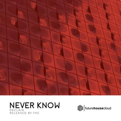 Never Know 专辑 Declain/Revealed Recordings