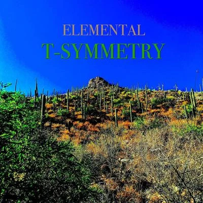 T-Symmetry 专辑 Heather Duby and Elemental/Heather Duby/Elemental