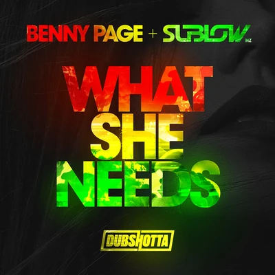 What She Needs 專輯 Sublow Hz