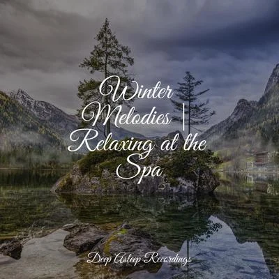 Winter Melodies | Relaxing at the Spa 專輯 Meditation