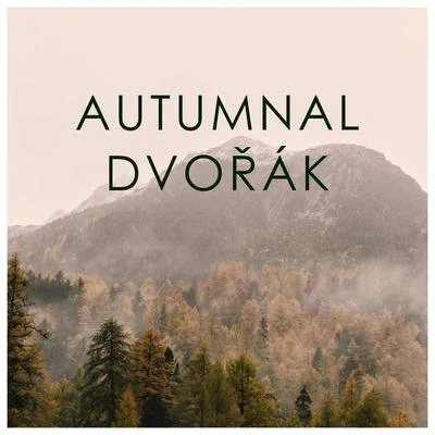 Autumnal Dvorak 專輯 Beethoven Academy Orchestra/Antonín Dvořák/Antonín Dvoák/Beethoven Akademie Orchester/Pawel Przytocki