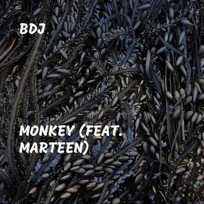 Marteen Monkey (feat. Marteen)