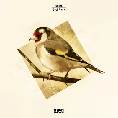 Goldfinch 專輯 Chime