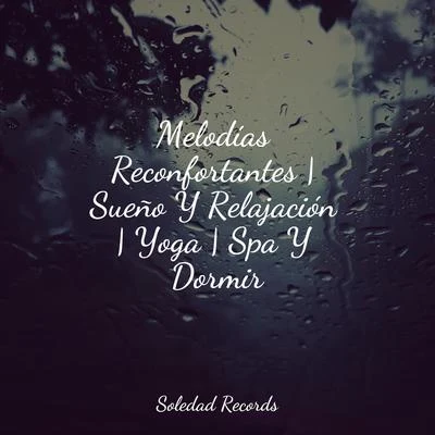 Musica relajante con sonidos de la naturalezaMassagemAcademia de Música con Sonidos de la Naturaleza Melodías Reconfortantes | Sueño Y Relajación | Yoga | Spa Y Dormir