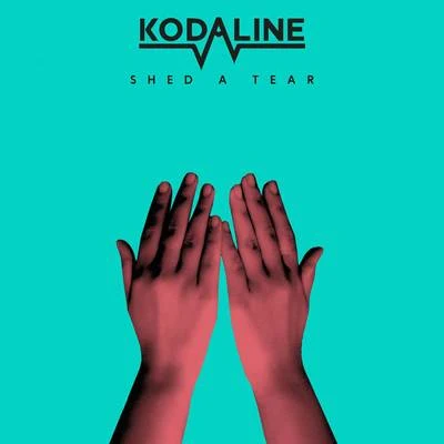 Shed a Tear 專輯 Kodaline