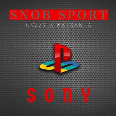 Sony 专辑 Gvzzy