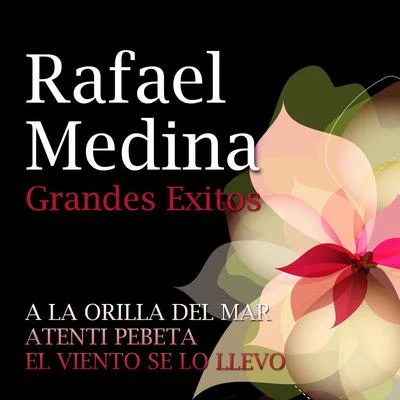 Rafael Medina Grandes Exitos 专辑 Rafael Medina/Conchita Supervia/The Andrew Sisters/Miguel Fleta/Pedro Vargas